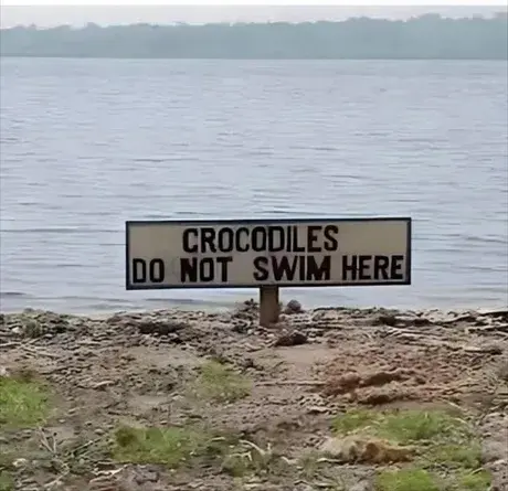 oh noes