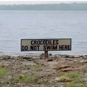 oh noes