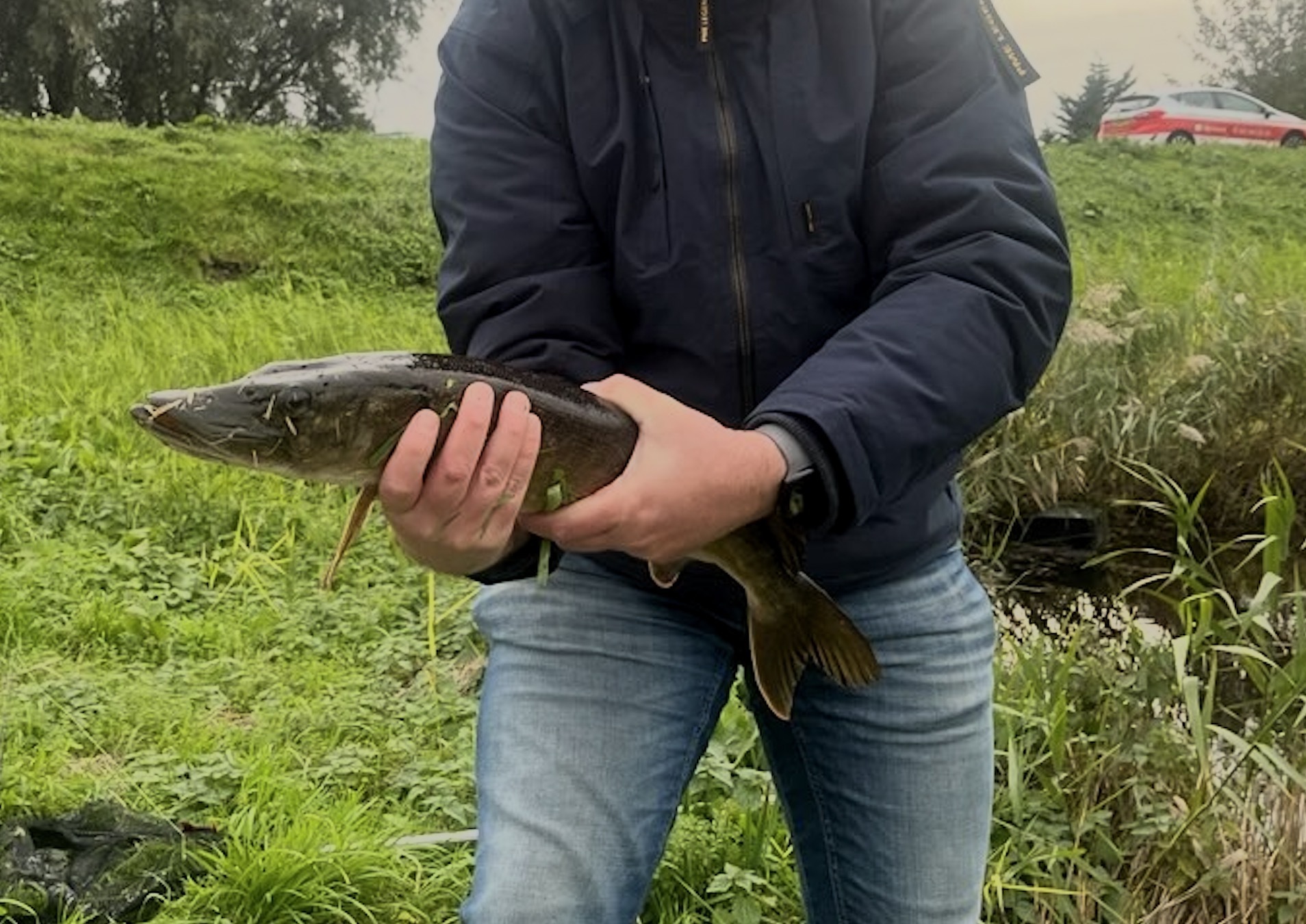 PIKE!